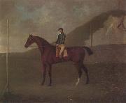 John Nost Sartorius 'Creeper' a Bay colt with Jockey up at the Starting post at the Running Gap in the Devils Ditch,Newmarket oil on canvas